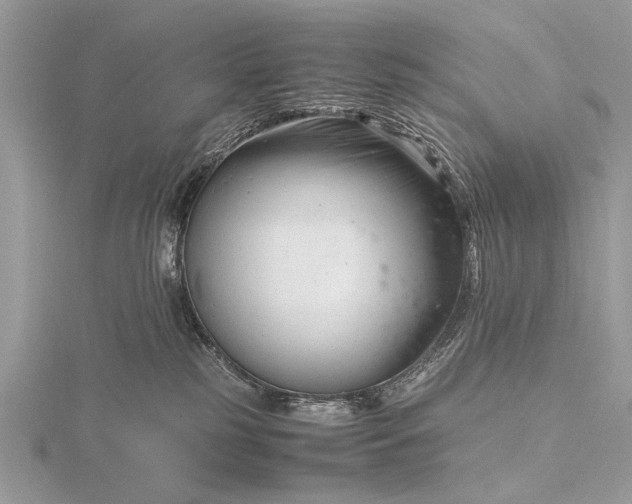 X0000116140185200912071250