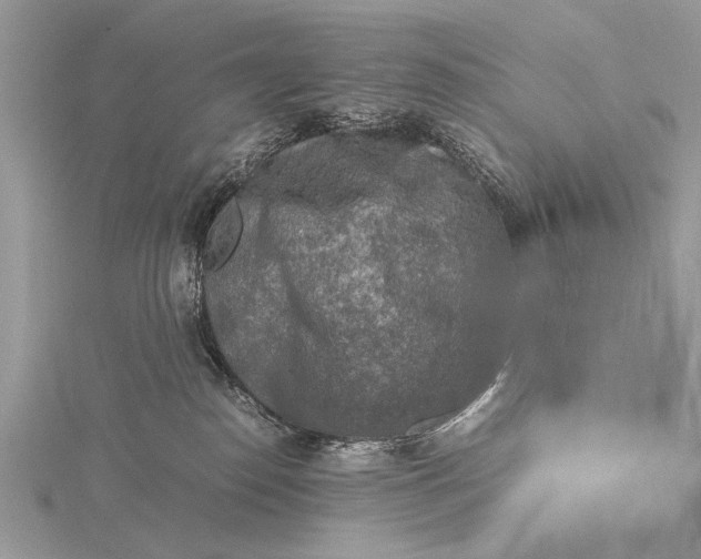 X0000116140186200912071250