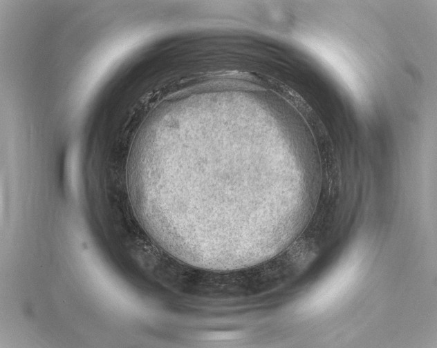 X0000116140189200912071250