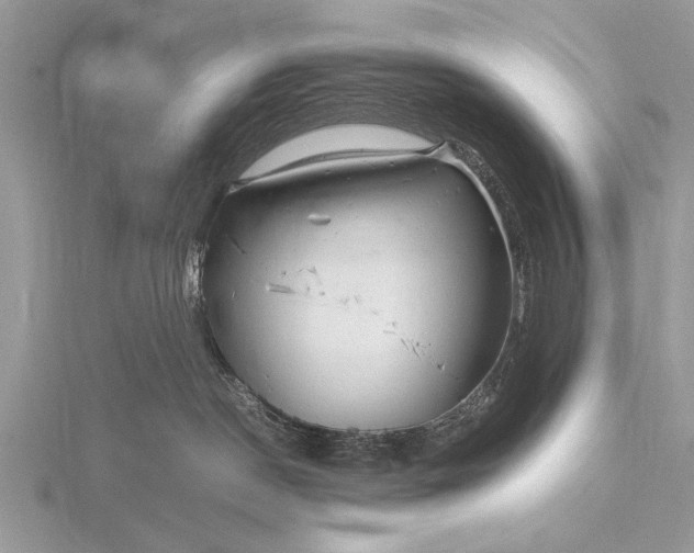 X0000116140190200912071250