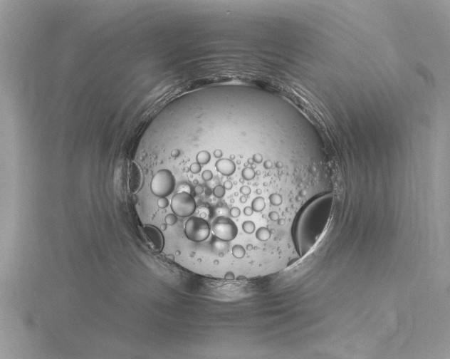 X0000116140191200912071250