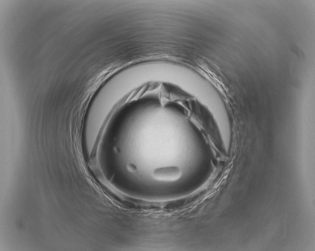 X0000116140193200912071250