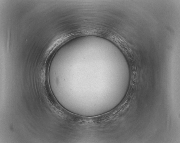 X0000116140194200912071250