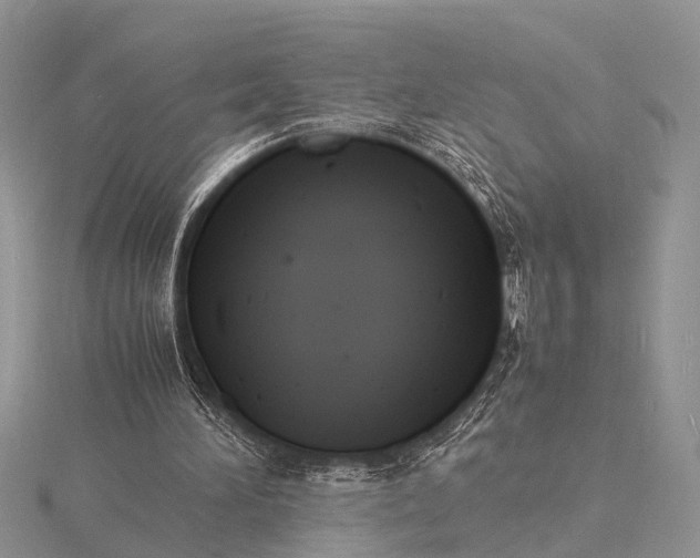 X0000116140196200912071250