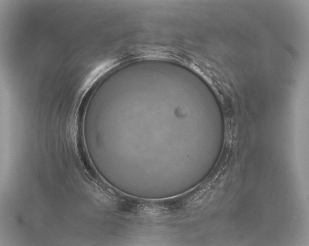 X0000116140199200912071250