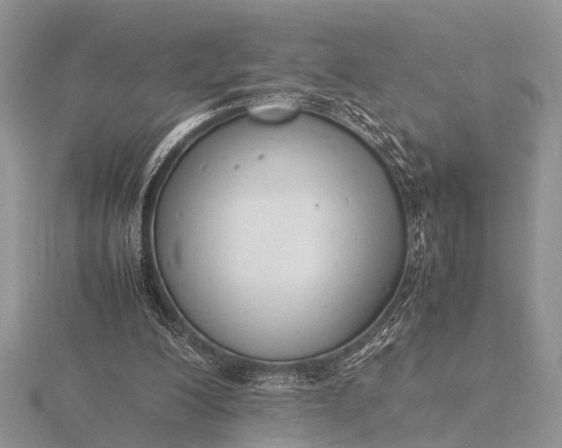 X0000116140200200912071250