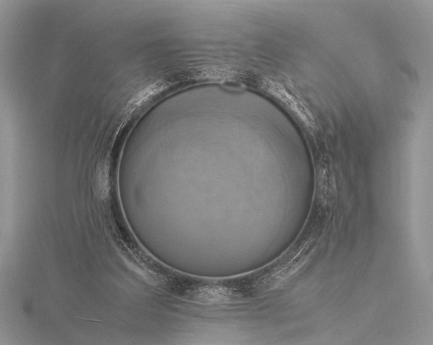 X0000116140203200912071250