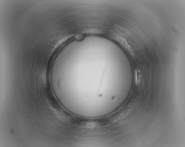 X0000116140204200912071250