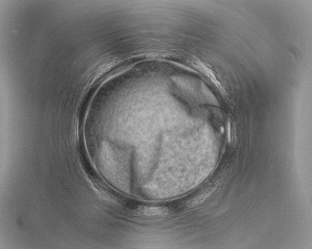 X0000116140205200912071250