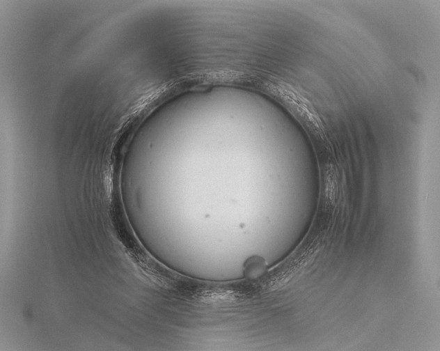 X0000116140206200912071250