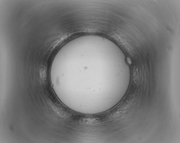 X0000116140208200912071250