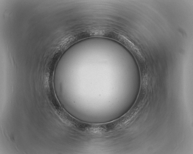 X0000116140209200912071249