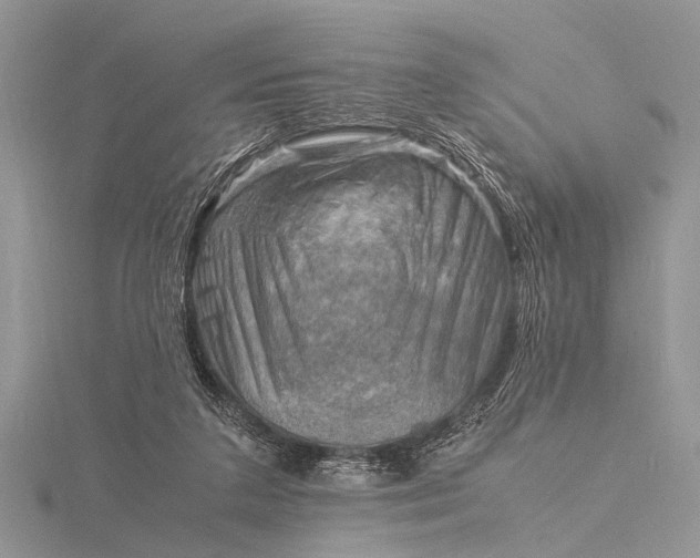 X0000116140211200912071249