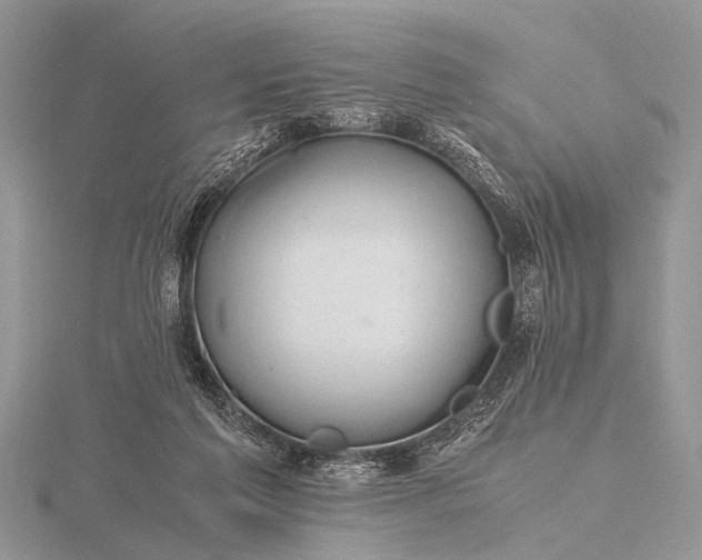 X0000116140213200912071249