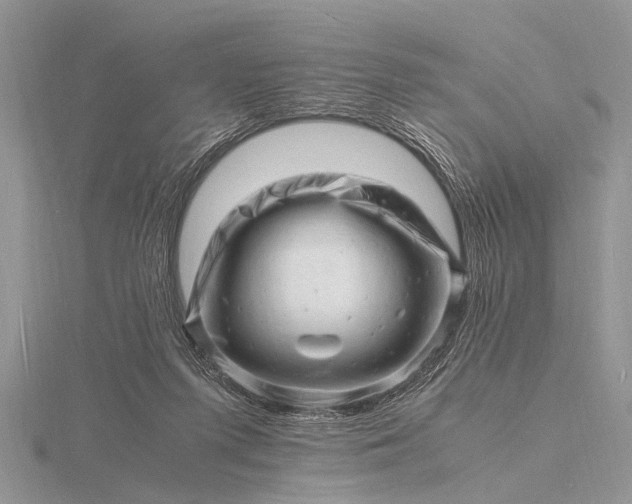 X0000116140215200912071249