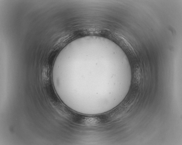 X0000116140218200912071249