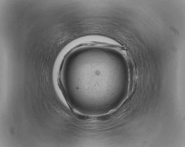 X0000116140219200912071249