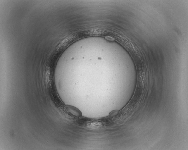 X0000116140220200912071249