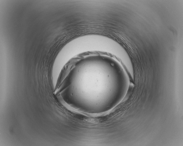 X0000116140221200912071249