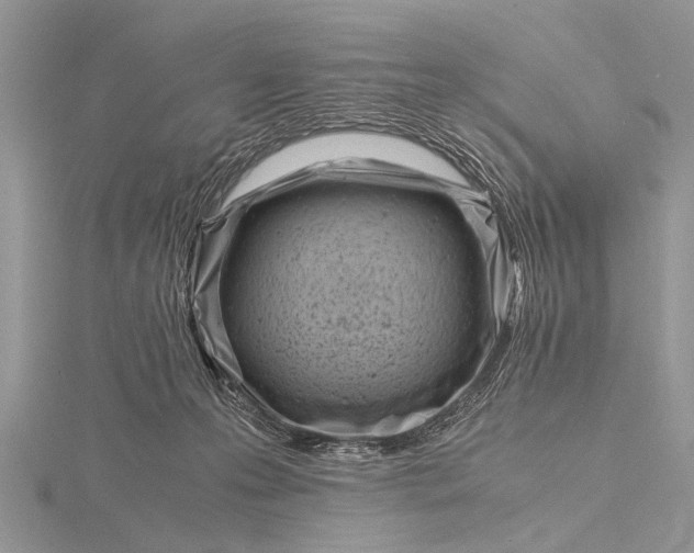 X0000116140223200912071249