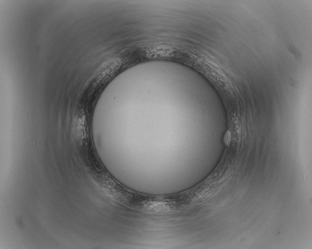 X0000116140224200912071249