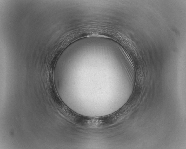 X0000116140225200912071249