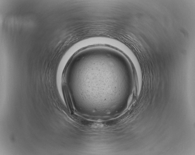 X0000116140227200912071249