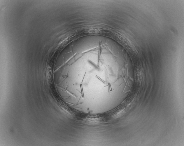 X0000116140228200912071249