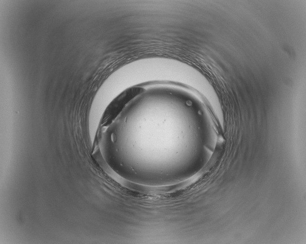 X0000116140229200912071249