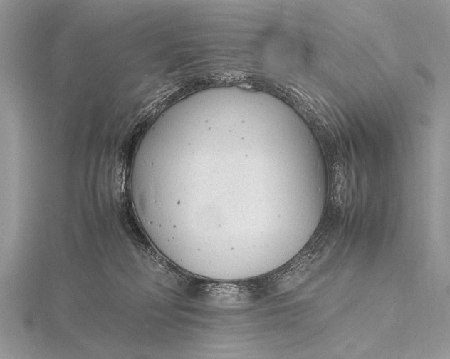 X0000116140230200912071249