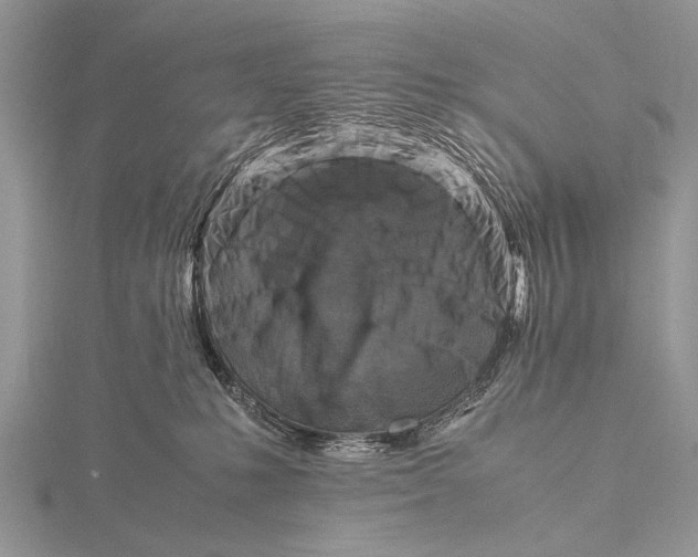 X0000116140231200912071249