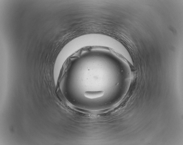 X0000116140233200912071249