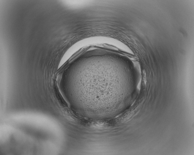 X0000116140235200912071249