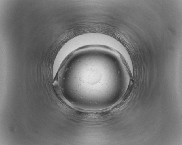 X0000116140237200912071249