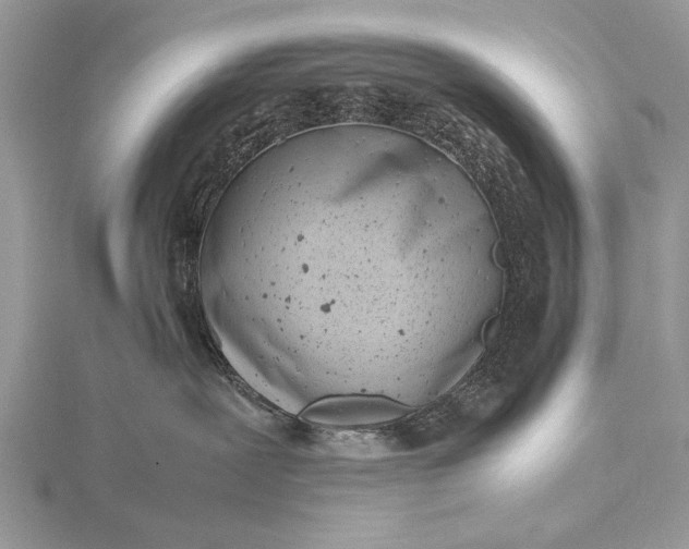 X0000116140239200912071249