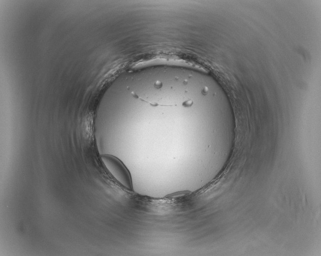 X0000116140240200912071249