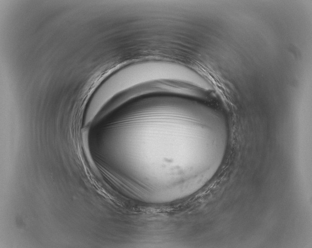 X0000116140241200912071248