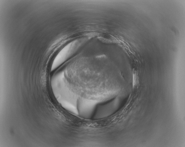 X0000116140243200912071249