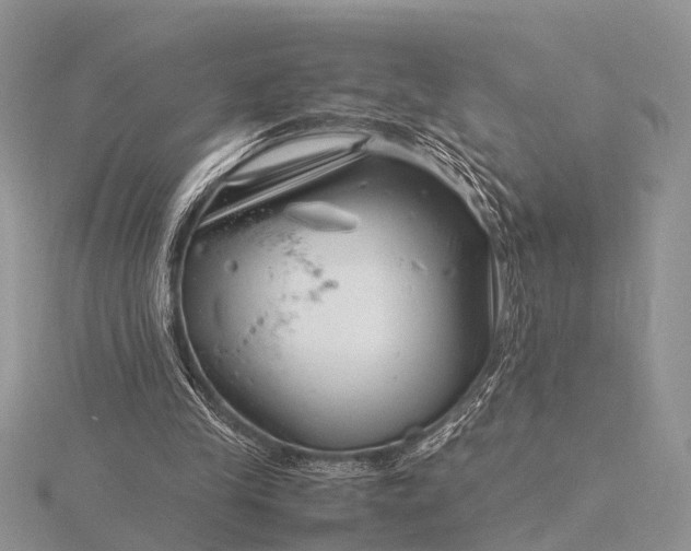 X0000116140245200912071249