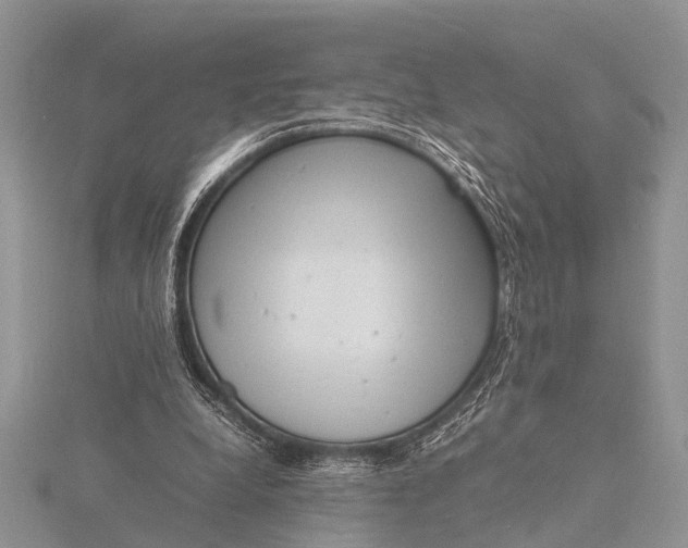 X0000116140248200912071249