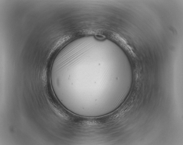 X0000116140250200912071249