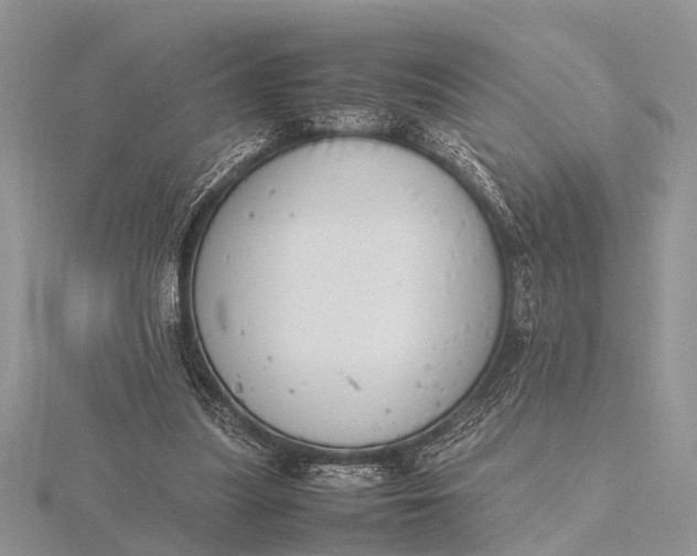 X0000116140251200912071249