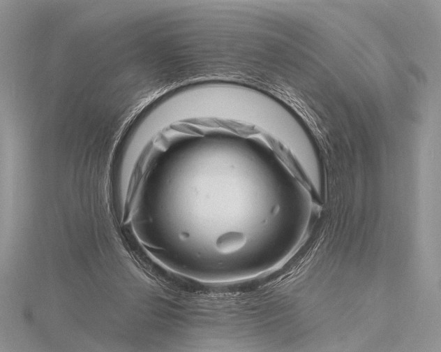 X0000116140252200912071249