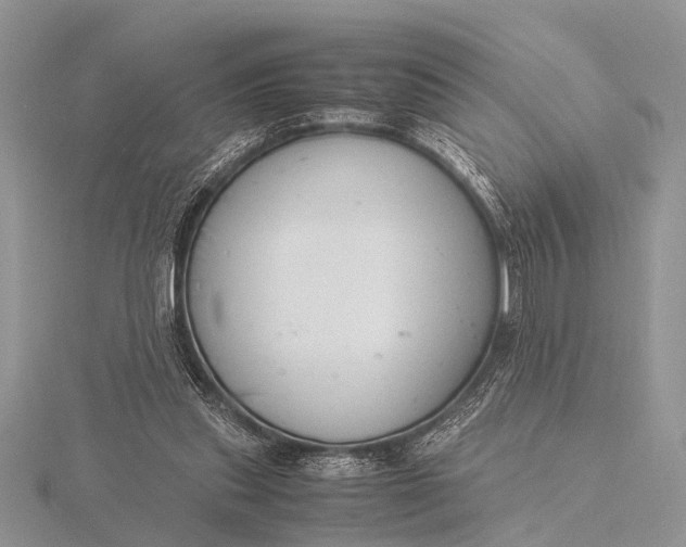 X0000116140253200912071249