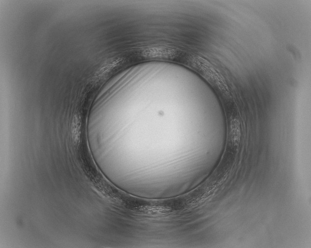 X0000116140255200912071249