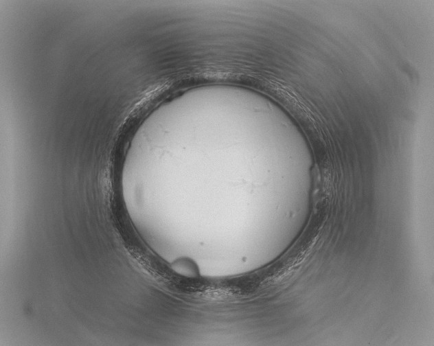 X0000116140256200912071249