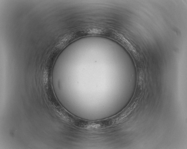 X0000116140257200912071249