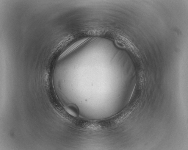 X0000116140258200912071249