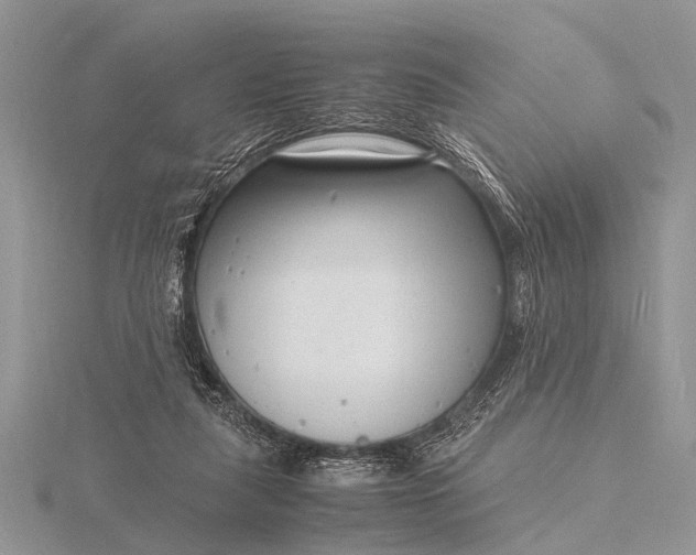 X0000116140259200912071249