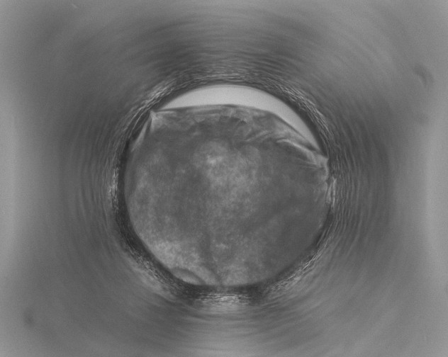 X0000116140260200912071249